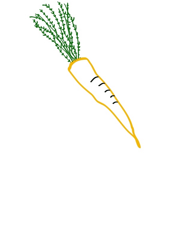 A hand-drawn carrot with green leaves from Potager’s official Farms page